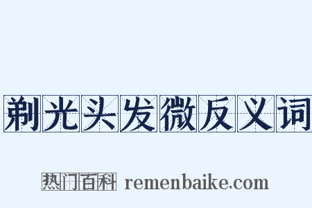 剃光头发微反义词是什么意思的图片